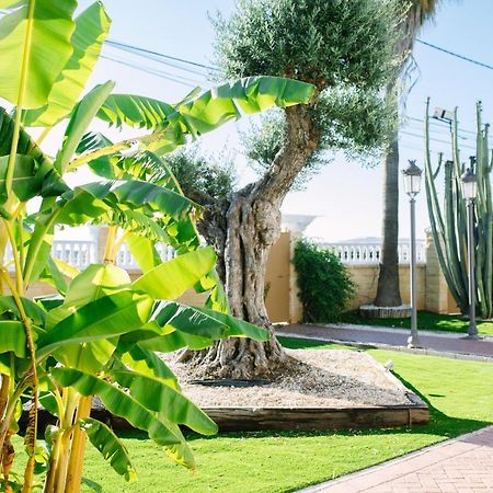 Casa Luxury "El Olivo De Cordoba" Con Jacuzzi Y Parking Privado Guest House Exterior foto
