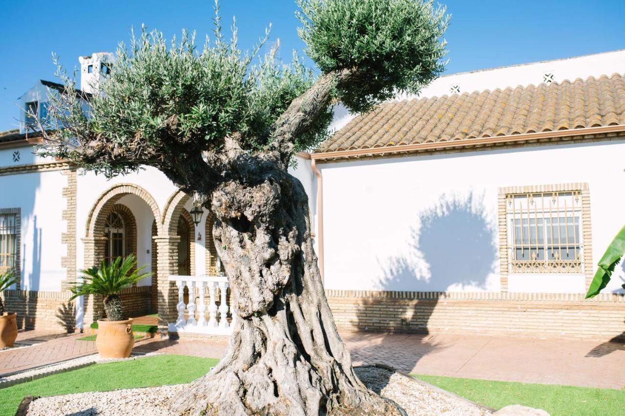 Casa Luxury "El Olivo De Cordoba" Con Jacuzzi Y Parking Privado Guest House Exterior foto