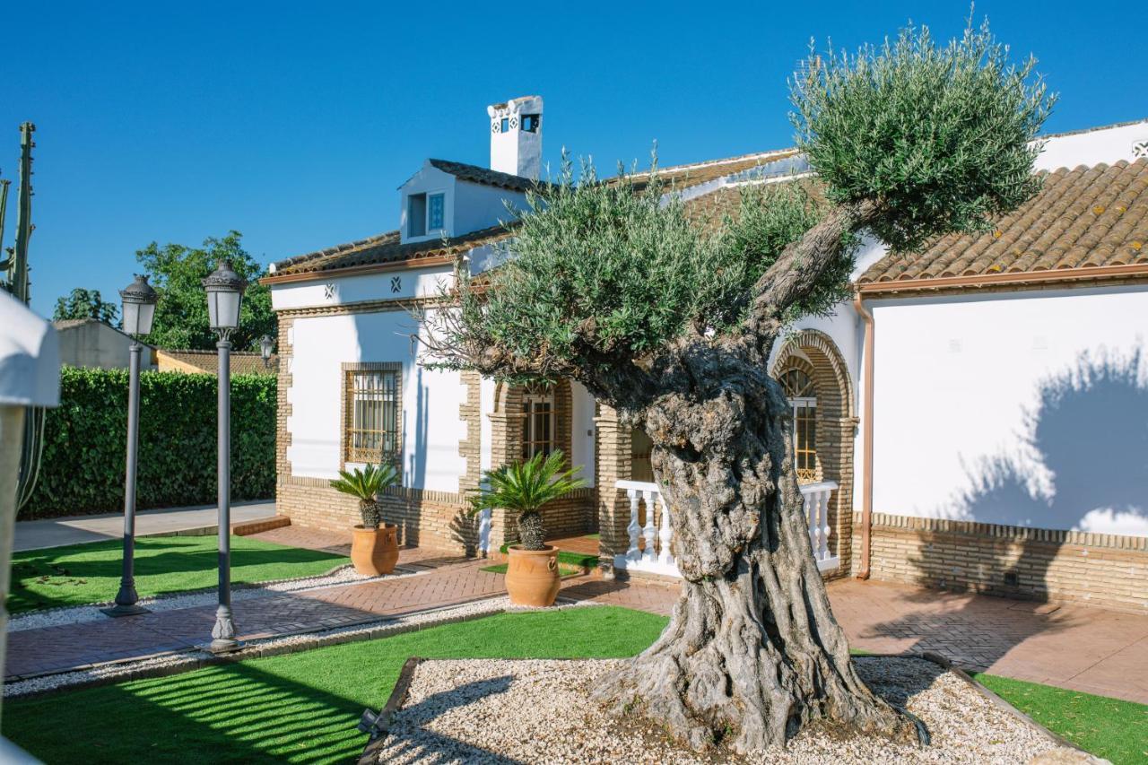 Casa Luxury "El Olivo De Cordoba" Con Jacuzzi Y Parking Privado Guest House Exterior foto