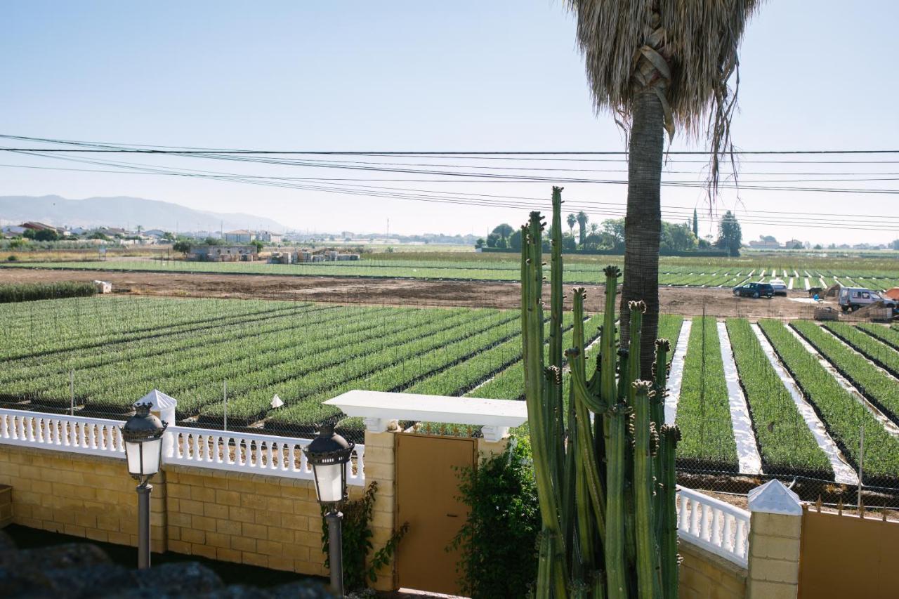 Casa Luxury "El Olivo De Cordoba" Con Jacuzzi Y Parking Privado Guest House Exterior foto