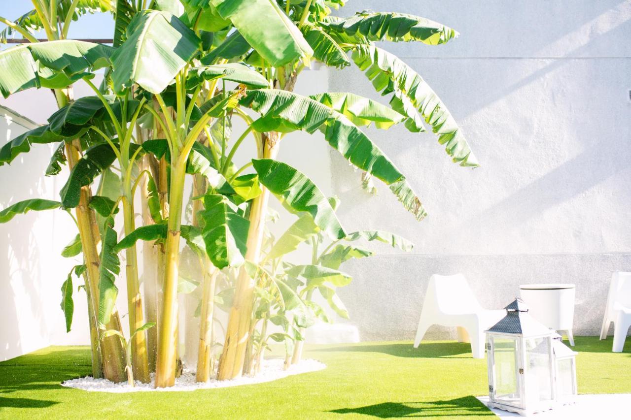 Casa Luxury "El Olivo De Cordoba" Con Jacuzzi Y Parking Privado Guest House Exterior foto